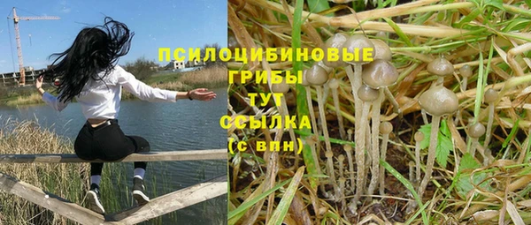 прущий лед Козельск