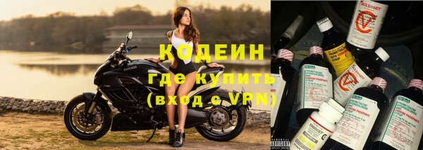 прущий лед Кодинск