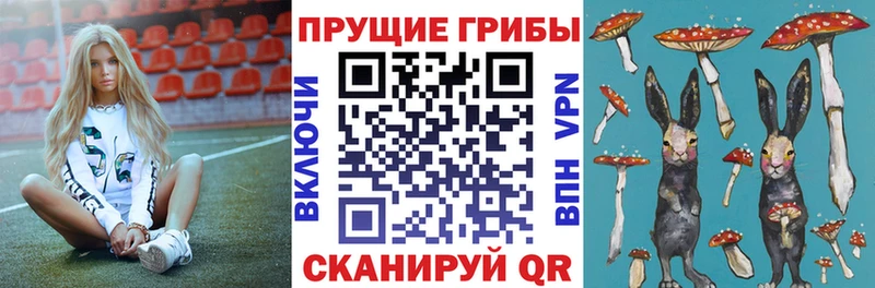 Галлюциногенные грибы GOLDEN TEACHER  Купить закладки  Псков 
